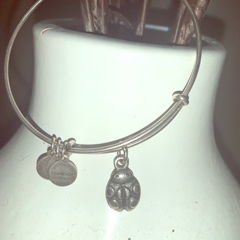 Alex and ani